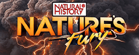 Nature's Fury (Natural History)